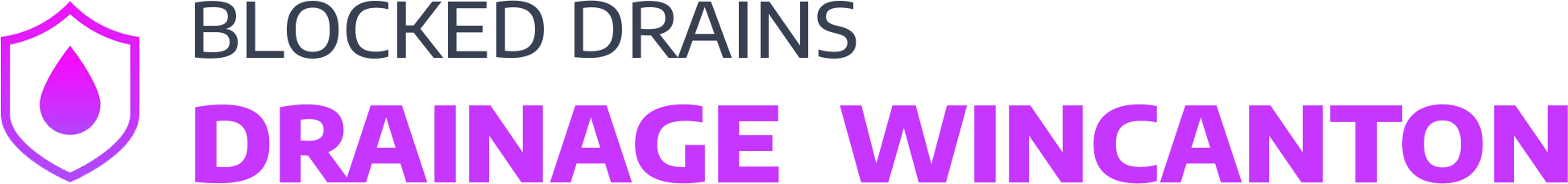 website logo